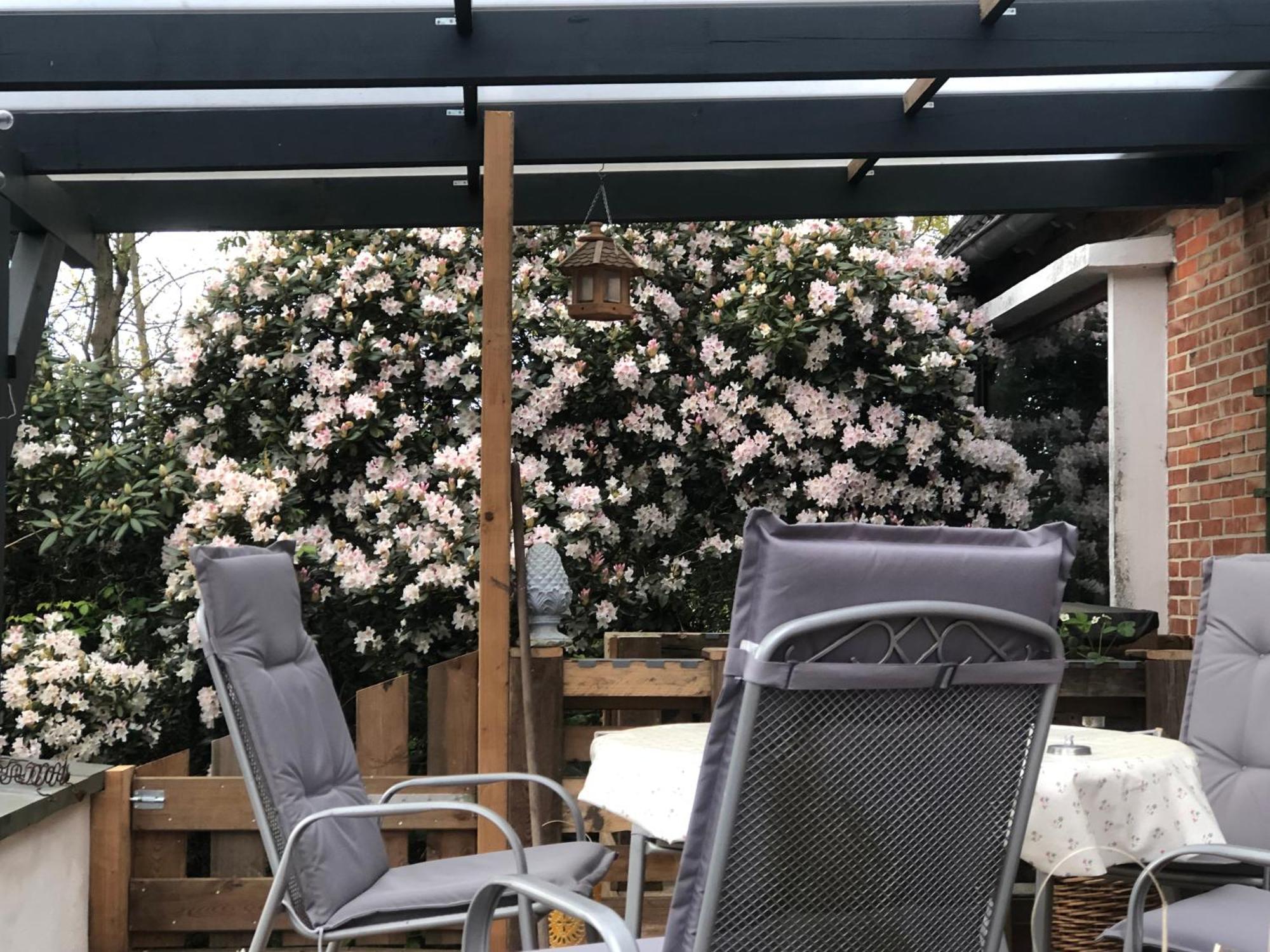 Apartmán Haus Alma 1 Wardenburg Exteriér fotografie